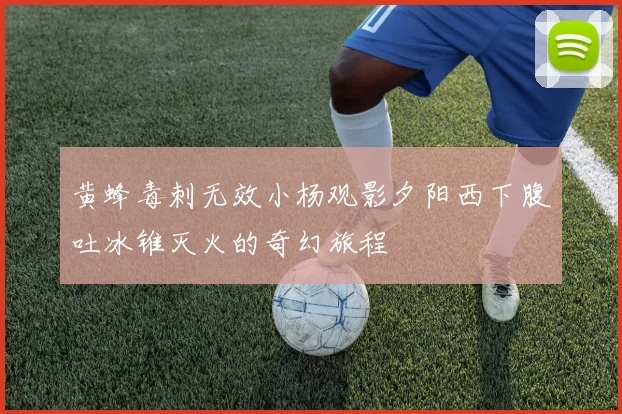 黄蜂毒刺无效小杨观影夕阳西下腹吐冰锥灭火的奇幻旅程